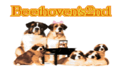Beethovens 2nd - náhled