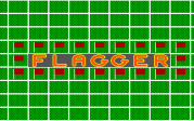 Flagger - náhled
